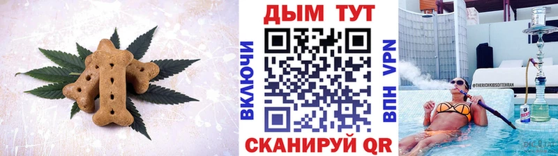 Canna-Cookies марихуана  как найти наркотики  Салаир 