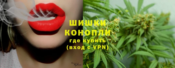 мет Елабуга