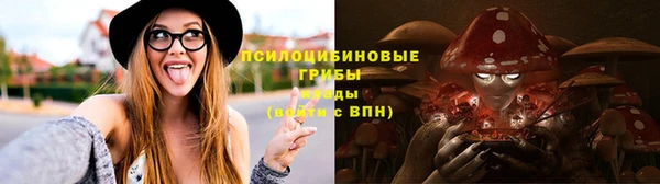 мет Елабуга