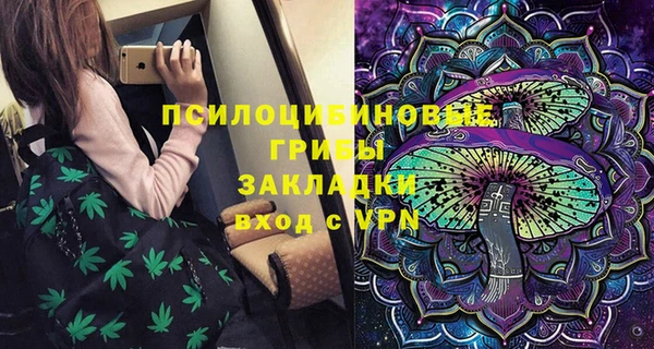 гидра Каменск-Шахтинский