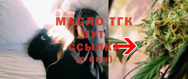 гашик Каменногорск