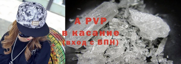 гашик Каменногорск
