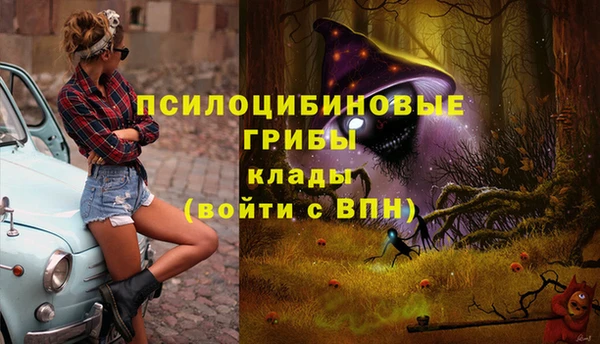 гашик Каменногорск