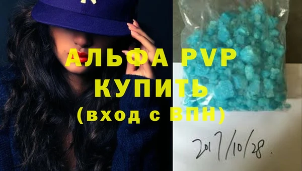 гашик Каменногорск