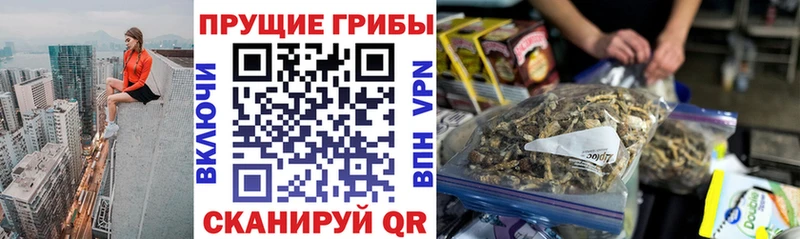 Псилоцибиновые грибы Psilocybe  hydra   Салаир 