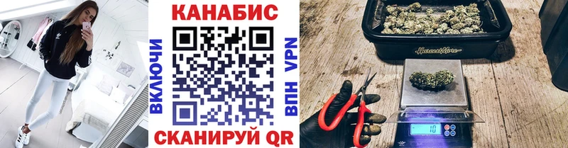 Конопля марихуана Салаир